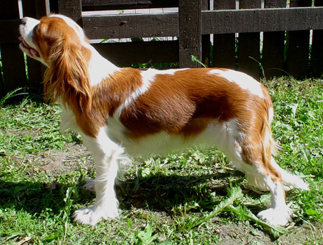 Dana heinkuussa 2003