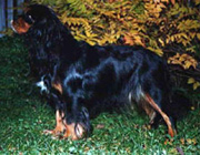 Tessa, Summer 2000