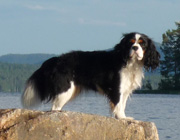 Sani in summer 2010